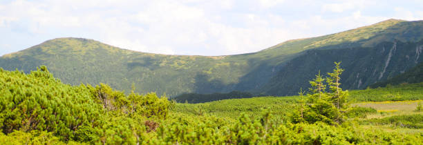 ein heller panoramablick auf eine grüne bergkette und eine wiese. - sky blue grass green stock-fotos und bilder