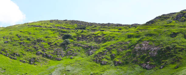 A panoramic view of a green hillside with rocks and shrubs under a blue sky.
