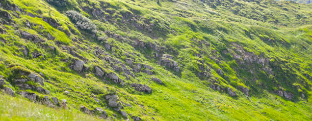 landschaftsansicht eines grünen hügels mit grauen felsen und sträuchern. - sky blue grass green stock-fotos und bilder