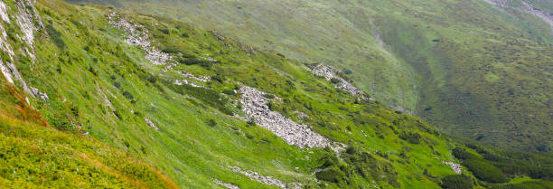 istock A panoramic image of a steep mountain slope with green vegetation and white rocks, overlooking a valley. 1619136863