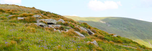 ein grasbewachsener hang mit felsen und wildblumen, der zum berggipfel und zum horizont führt. - sky blue grass green stock-fotos und bilder