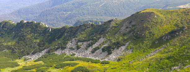 istock mountain range with a forested valley in the background and a hazy blue sky. 1619137919