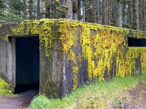 Moss covered cement structure left over from World War 2 defenses on Kodiak Island, Alaska.