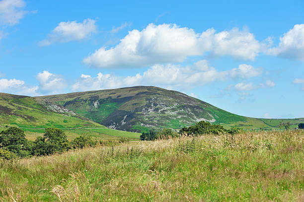 istock Rural Scottish scene of hills and fields in summer 161916982