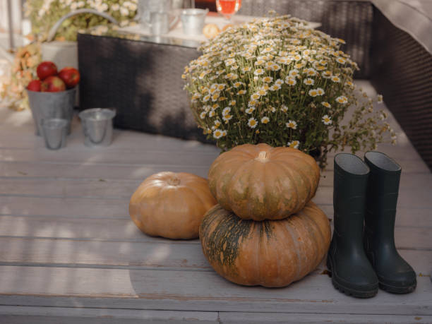 istock boots in front porch that has been decorated for autumn 1619178376