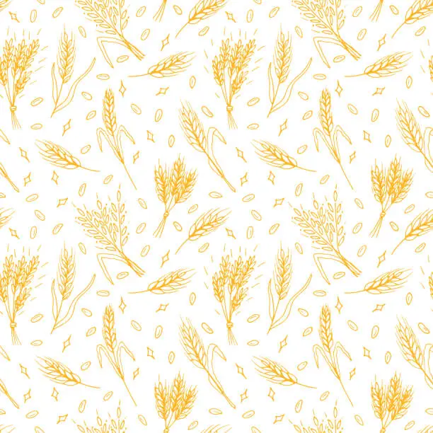 Vector illustration of Seamless pattern with hand drawn spikelet of wheat in sketch. Grain ears. Rye, barley, wheat