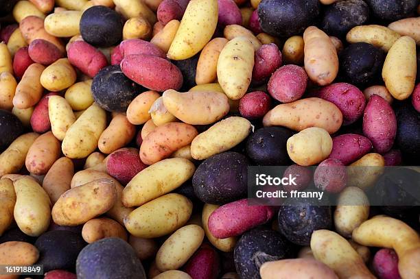 Foto de Multicolorido Batatas Ao Ar Livre Em Um Mercado De Agricultores e mais fotos de stock de Batata - Tubérculo
