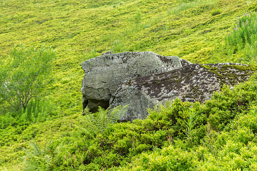 big stone in the Carpathian mountains