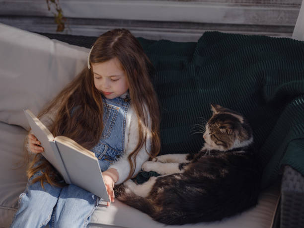istock Autumn sunny weekend with cat at home. 1619202891