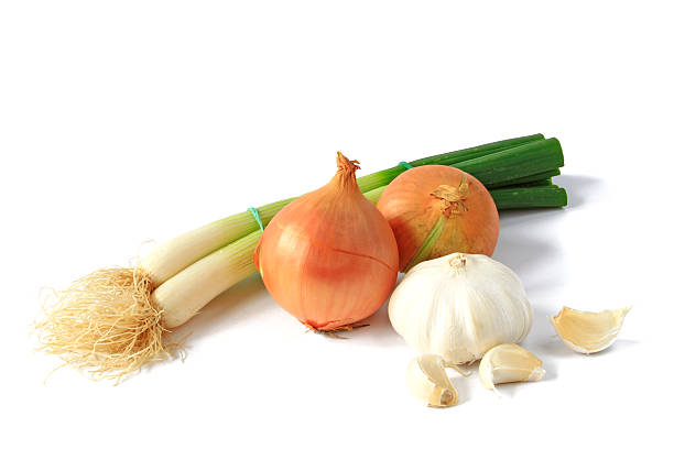 Onions stock photo