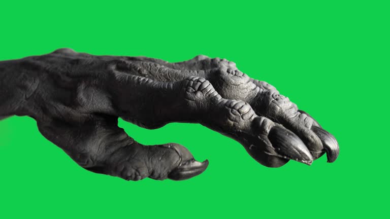 Moving Monster Hand on Green Screen