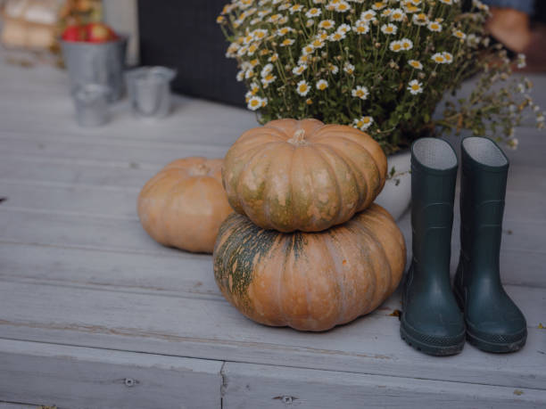 istock boots in front porch that has been decorated for autumn 1619221193