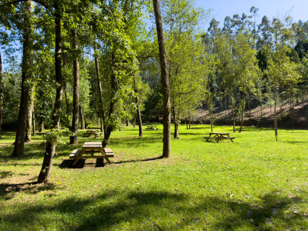 istock Parque Fonte do Amieiro in Souto 1619223308