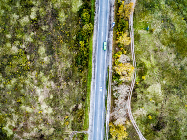 istock asphalt track with trees and rolled road on one side 1619231305