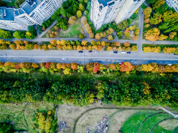 istock Aerial view - autumn city road 1619231328