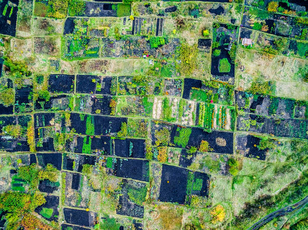 istock Aerial view of gardens 1619231854