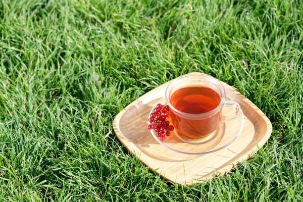 Cup of tea on green grass outdoors on a summer day stock photo