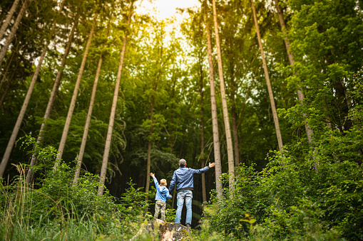 Father and son enjoying beautiful forest setting.