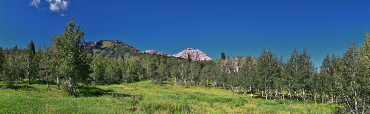 The Sawtooth Range  sits in the distance behind a meadow, in the Sawtooth National Recreation Area of Stanley, Idaho.