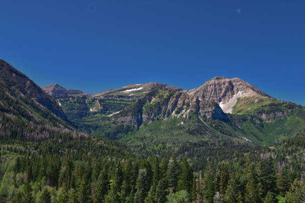 istock Timpanogos back hiking on Salamander Flat Willow Hollow and Snow Gauging Loop trail Uinta Wasatch Cache National Forest, Rocky Mountains, Utah. United States. 1619259585