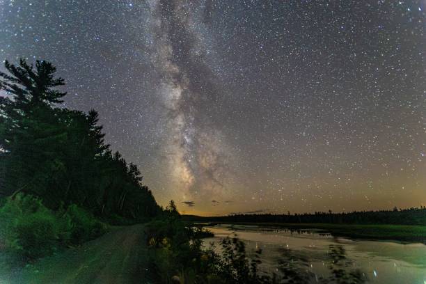 istock Dark night sky filled with countless stars and silhouetted trees in the distant landscape 1619302158