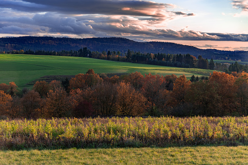 Hilly landscape with fields in autumn