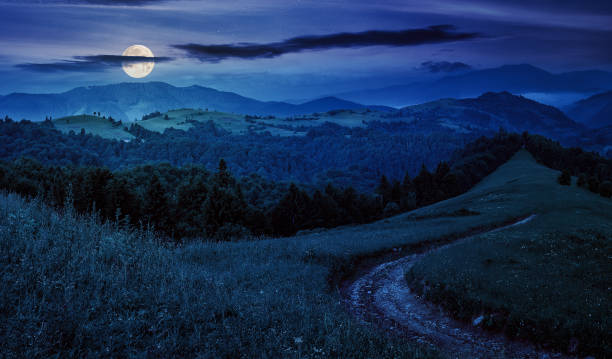 istock landscape with empty rural road to coniferous forest through the grassy hillside meadow on high mountain range at night 1619307541