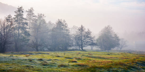 istock transcarpathian countryside in autumn 1619310185