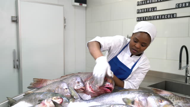 African-American woman working at a seafood market organizing the retail display with a huge fish