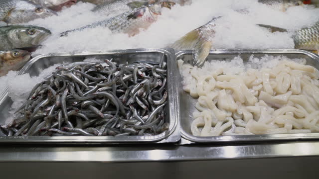 Close up shot of containers with ice and fresh sea food products: fish, sardines, calamari