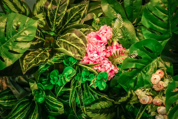 Closeup nature view of pink flower on green leaf background. Flower plant wall,Nature Lush Foliage Leaf Texture, tropical leaf ,natural background wallpaper, leaf texture,flower decoration vista de la naturaleza en primer plano de la flor rosa sobre fondo de hoja verde. pared de la planta de la flor, textura de la hoja de follaje exuberante de la naturaleza, hoja tropical, papel tapiz de fondo natural, textura de la hoja, decoración de flor
