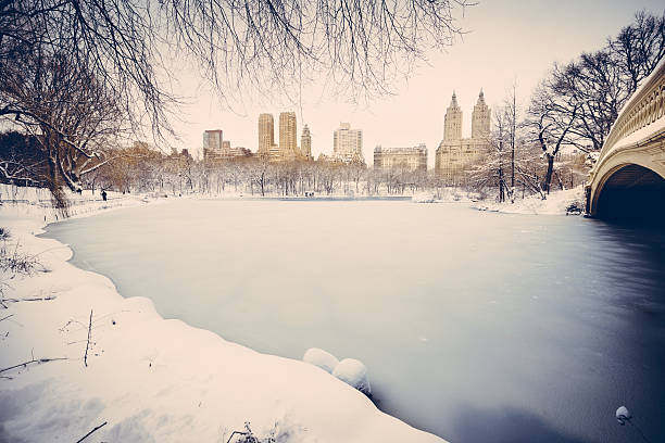 Snowy Central Park New York