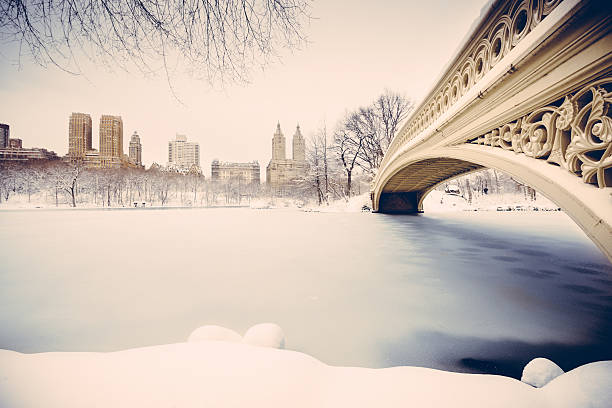 스노이 센트럴 파크 뉴욕 - new york city new york state skyline winter 뉴스 사진 이미지