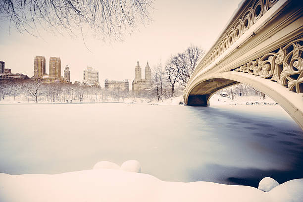 snowy central park, nowy jork - new york city new york state skyline winter zdjęcia i obrazy z banku zdjęć