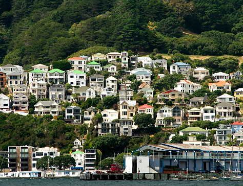 Large houses near Wellingon's waterfront.