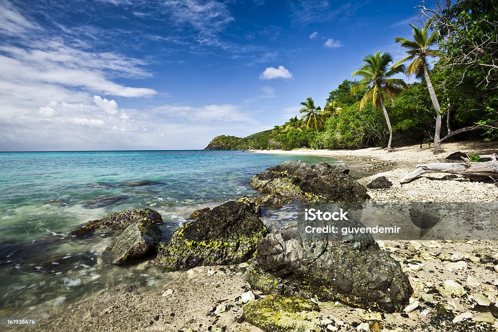 Karibik-Landschaft - Lizenzfrei Baum Stock-Foto