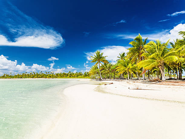 istock Bora-Bora Relaxing Beach Travel Detination 161936167