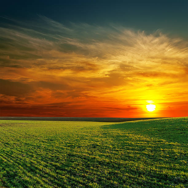 istock good sunset and green grass 161936543