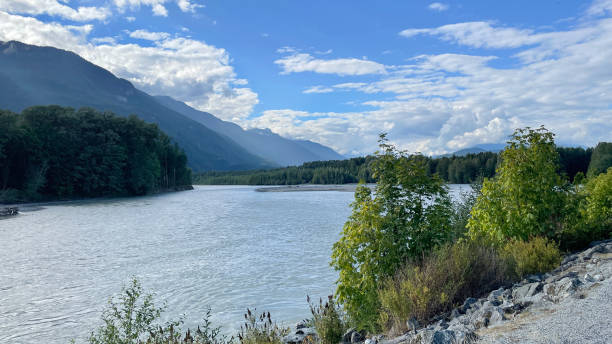 istock Eagle Run trail in Brackendale, Squamish, British Columbia 1619372824