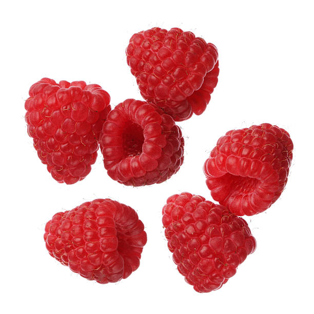 framboesas isoladas no fundo branco, close-up - falling fruit berry fruit raspberry imagens e fotografias de stock