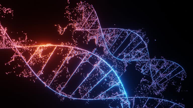 Video of two DNA molecules on a black background