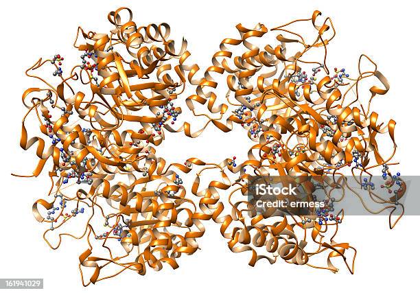 단백질 구조의 0명에 대한 스톡 사진 및 기타 이미지 - 0명, 과학, 분자