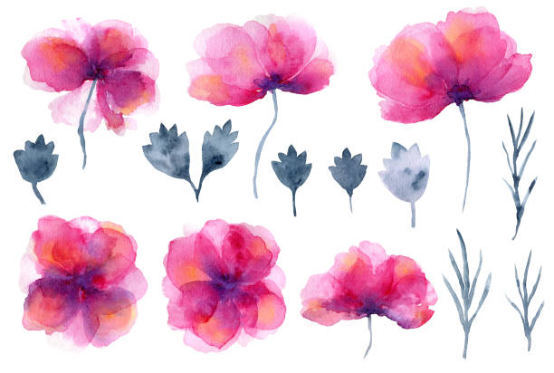 istock Set of bright pink watercolor poppies flowers 1619412740