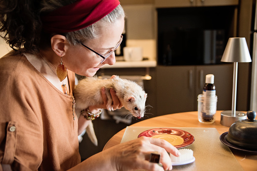 Woman living with a visual disability holding her ferret who serve as an anxiety support animal. She is giving the pet a special oil to make his fur healthy. She is in her early fifties, and is wearing casual clothes. Horizontal waist up indoors shot with copy space. This was taken in Quebec, Canada.