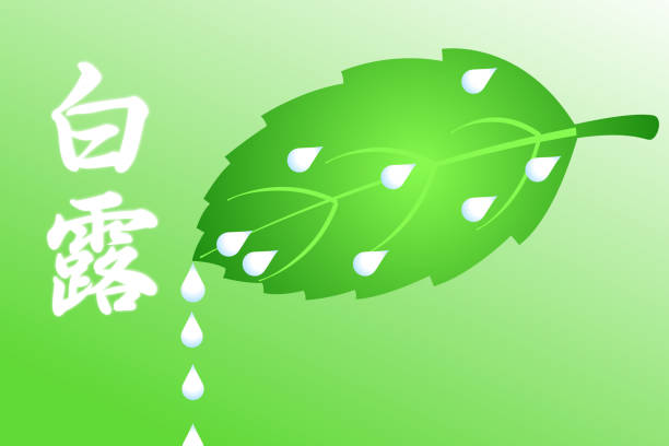 700点を超える朝露のイラスト素材、ロイヤリティフリーのベクター素材グラフィックスとクリップアート - iStock | 水滴, 朝日, 木漏れ日