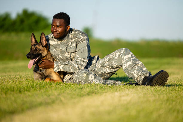 istock Friendship and loyalty between soldier and military working dog. 1619482454
