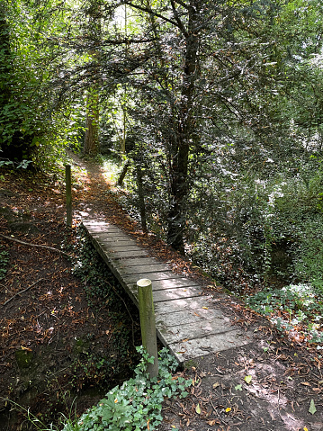 Stock photo showing a simple wooden footbridge made from decking timber, spanning a small tricking woodland stream.