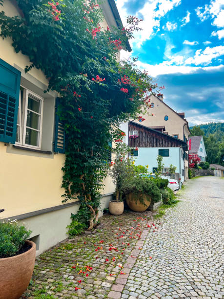 istock Cozy park in Bregenz Upper town - Oberstadt 1619498848