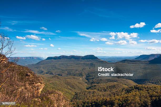 Blue Mountains - Fotografie stock e altre immagini di Parco Nazionale delle Blue Mountains - Parco Nazionale delle Blue Mountains, Sydney, Albero