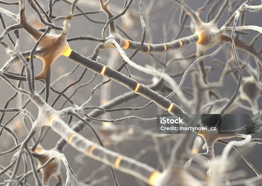 Neurons - Стоковые фото Нервная клетка роялти-фри